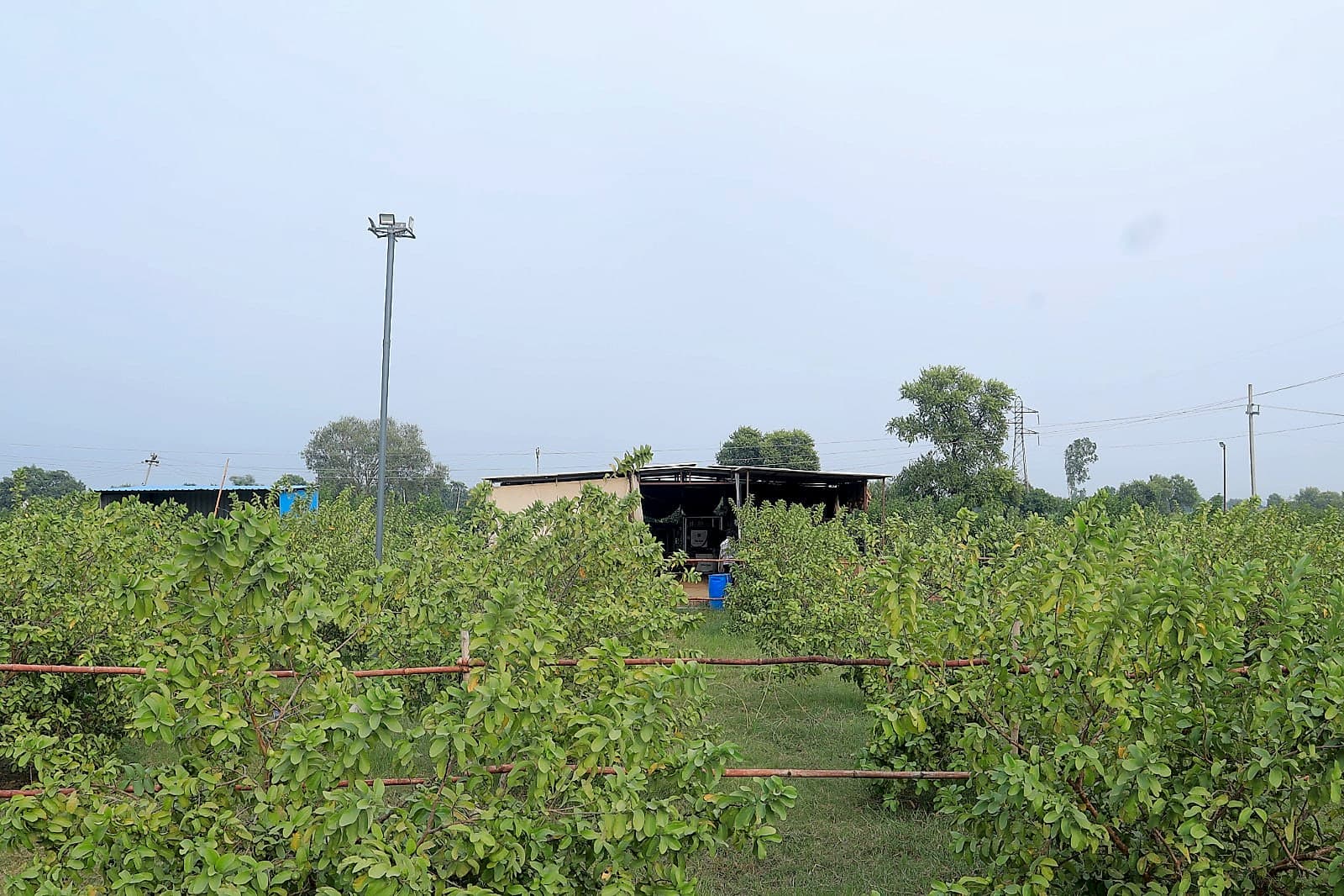 Farm Kitchen