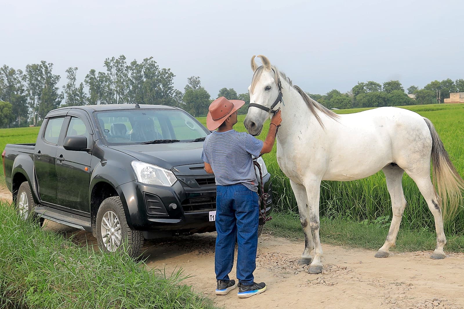 White Horse