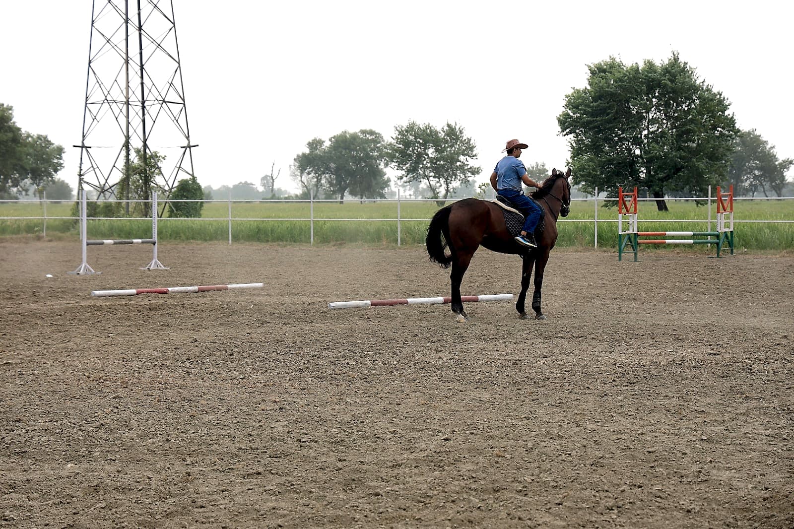 Rider in the Jumping Arena
