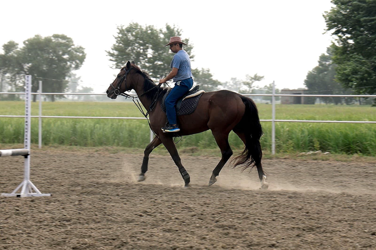 Riding Lesson in the Arena