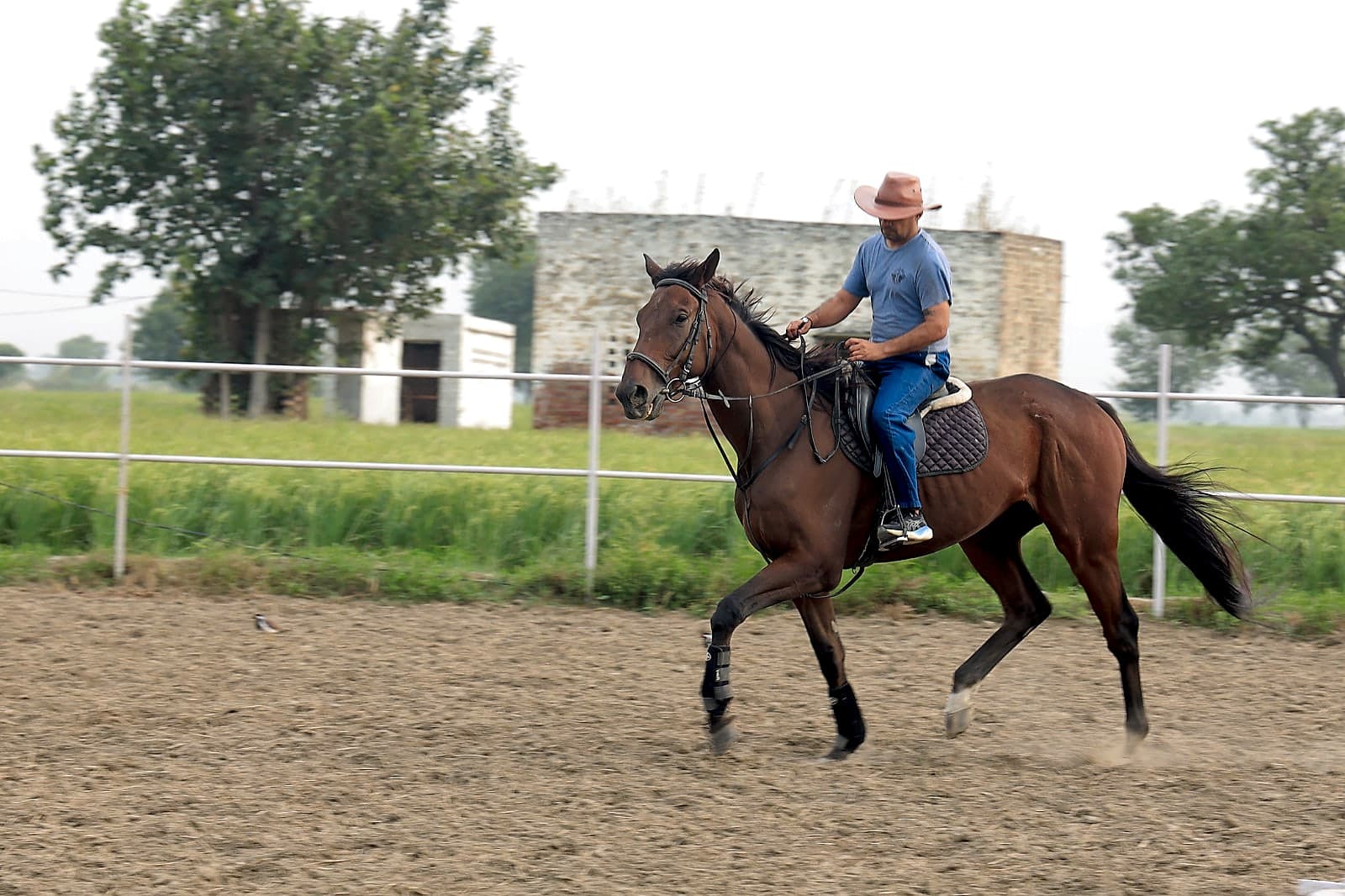Riding in the Arena
