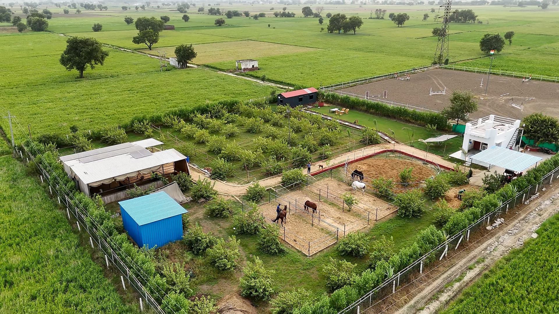 Aerial view of the ASTBAL farm: orchard, horse arena and container house surrounded by green fields