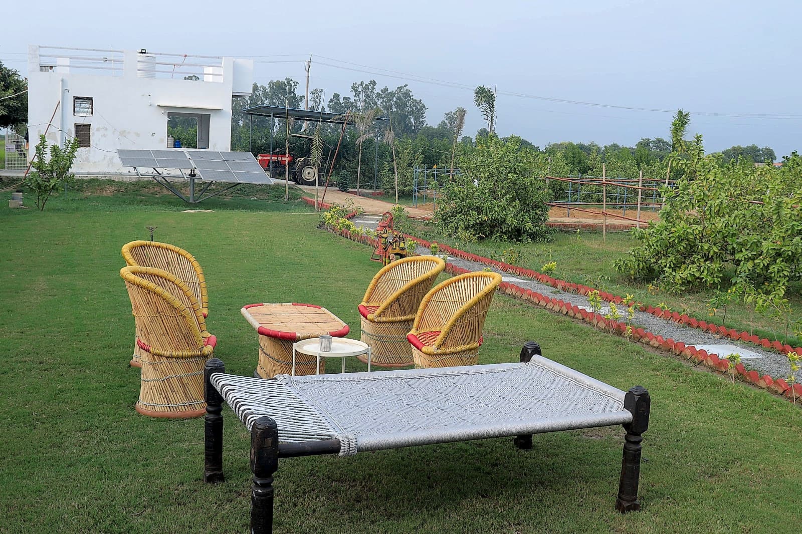 Outdoor Grass Bed Area